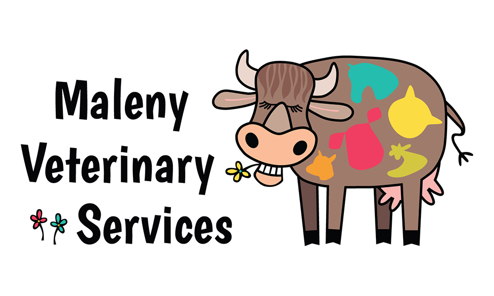 Maleny Veterinary Services