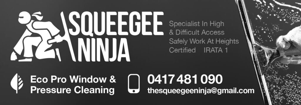 Cleaning squeegee