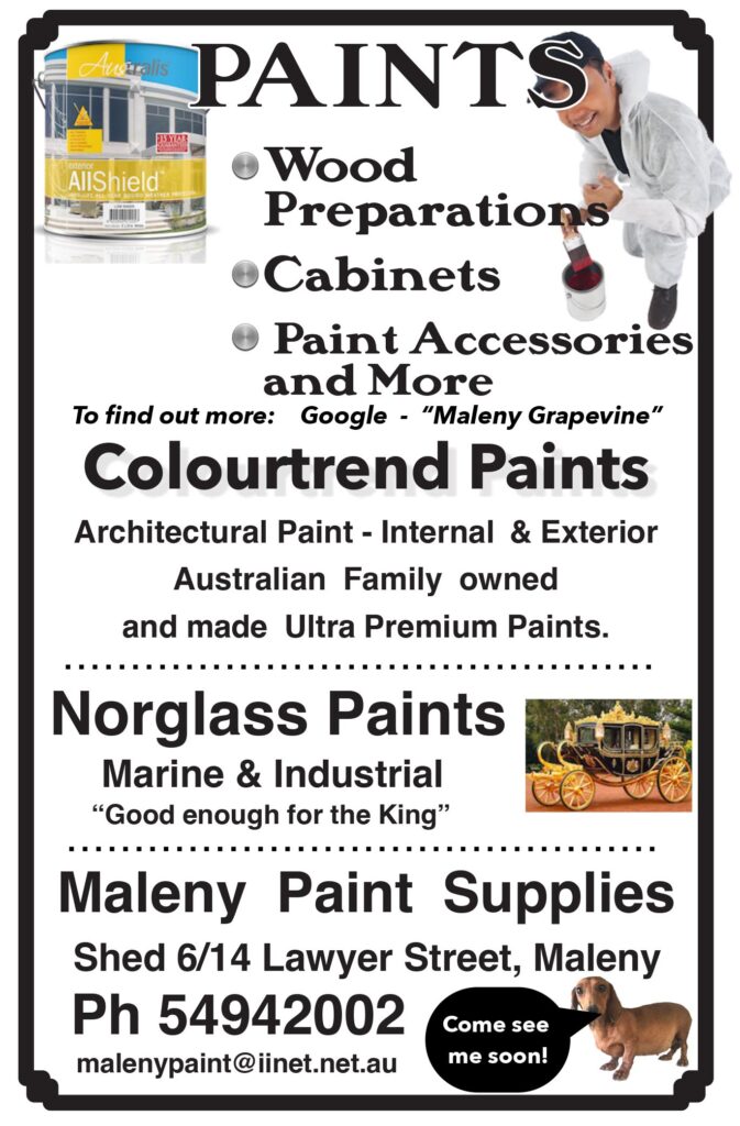 Paint maleny paint