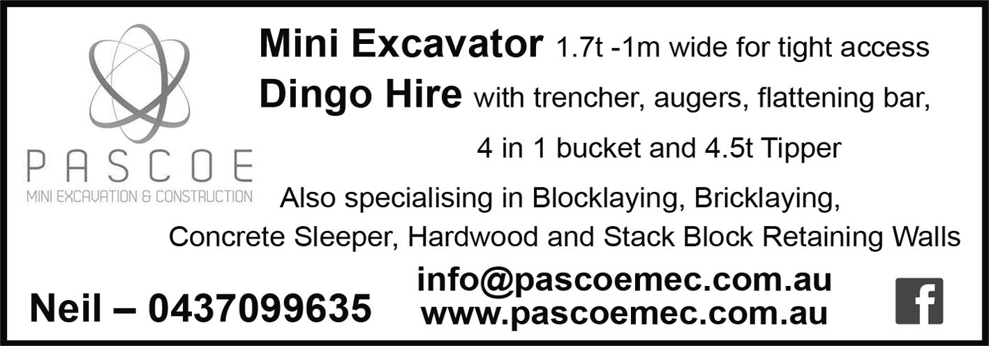 Pascoe earthmini