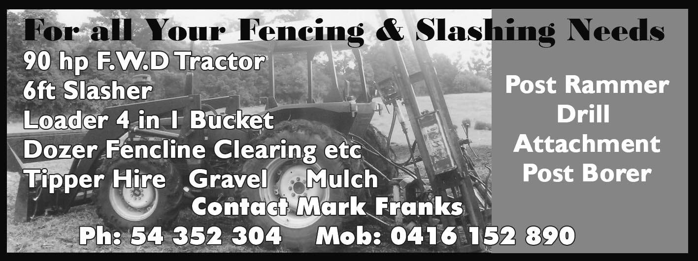 Slash Franks(QV)