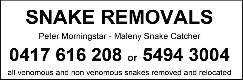 Snake removal QH