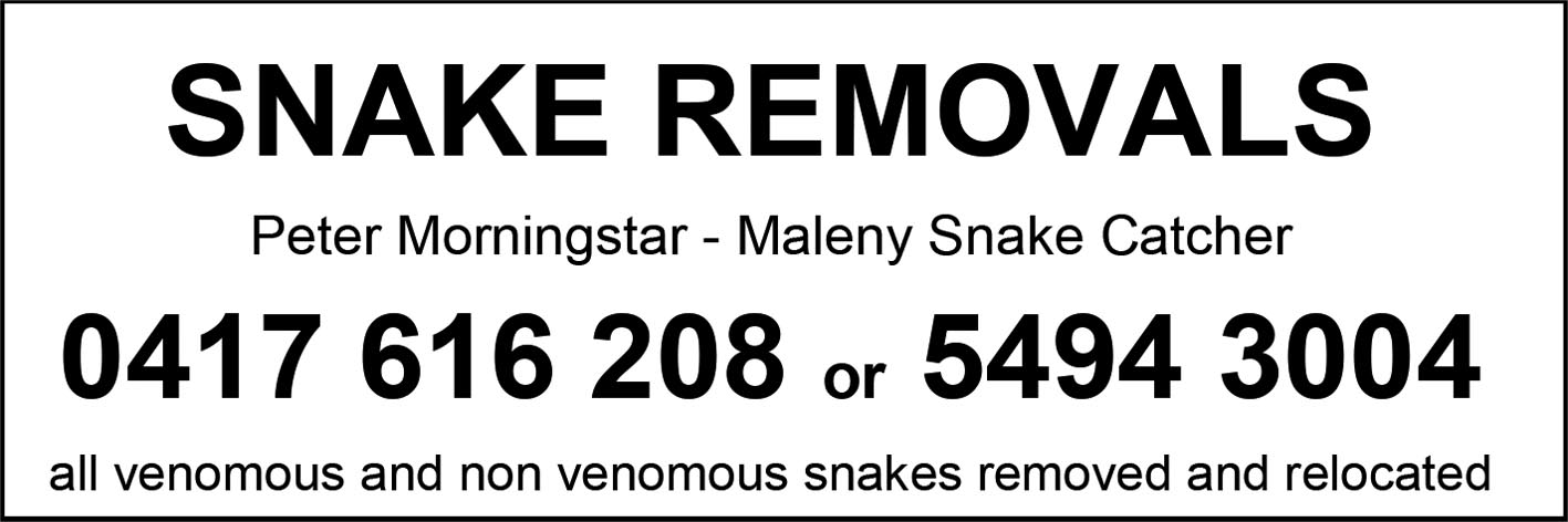 Snake removal QH