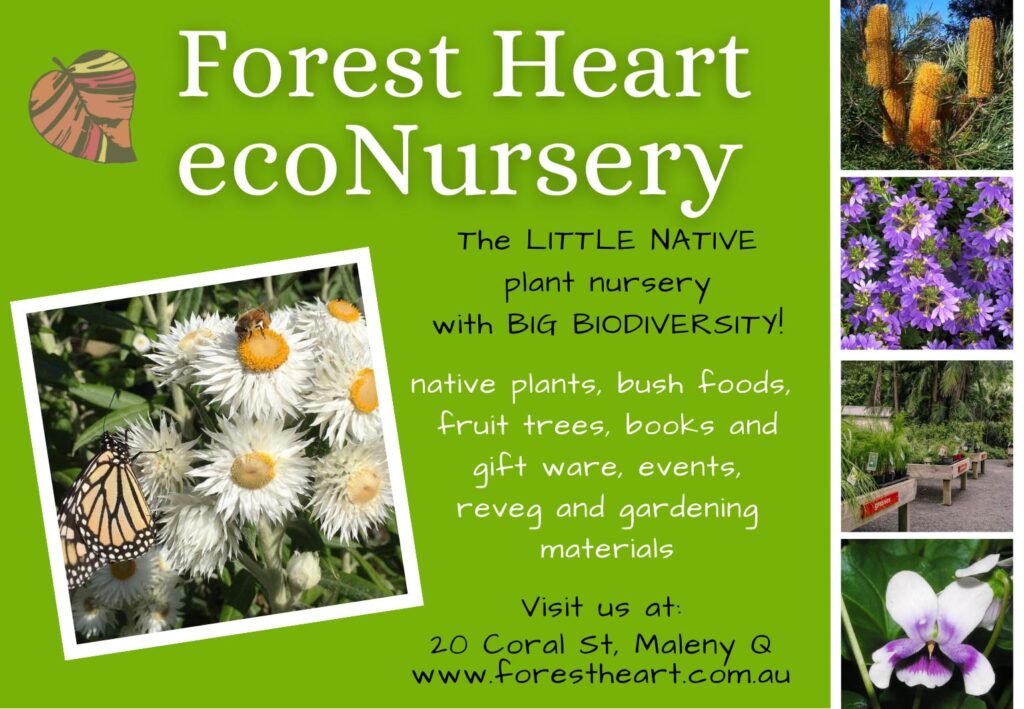 Forest Heart Eco Nursery